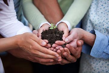 Image showing Hands Holding Plant