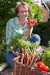 Image showing Woman in Garden Picknig Vegetables