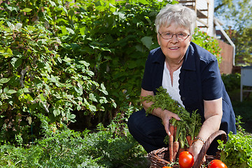 Image showing Portrait of woman with vegetables