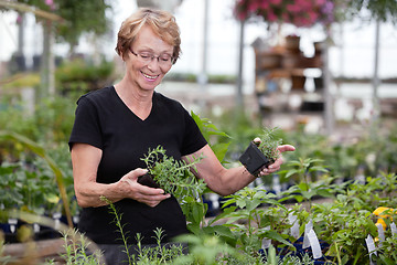 Image showing Woman at plant nursery