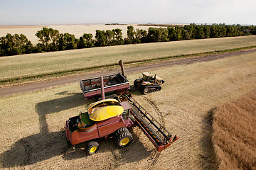 Image showing Harvester with Grain Cart