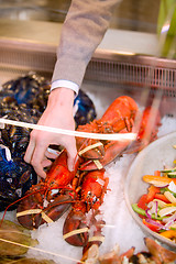 Image showing Seafood Lobster