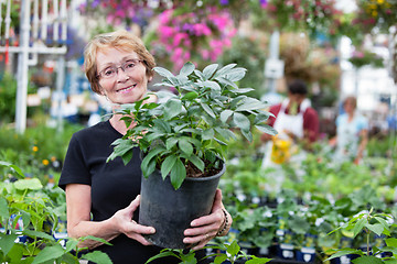 Image showing Smiling senior woman holding potted plant