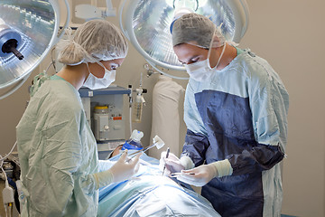 Image showing Medical doctor performing an operation on patient