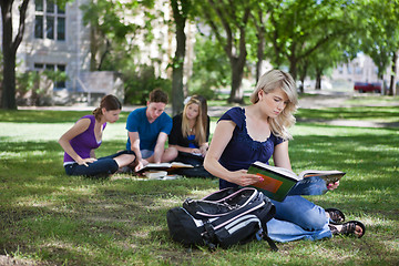 Image showing College students studying