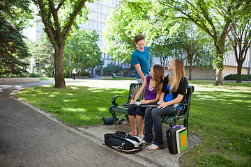 Image showing Students studying on campus