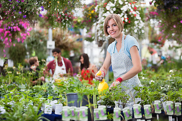 Image showing Woman Working in Greenhouse