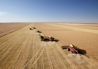 Image showing Four Combines in Field