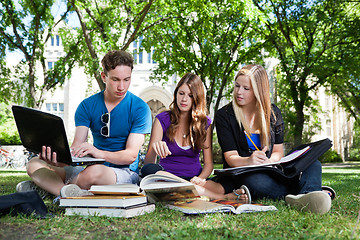 Image showing Group of students studying together