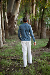 Image showing Man Walking Alone in Woods