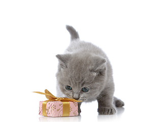 Image showing kitten and gift box