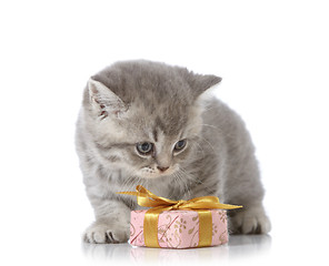 Image showing kitten and gift box