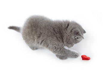 Image showing kitten and red decorative heart