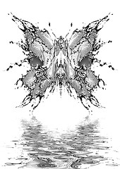 Image showing Black water butterfly