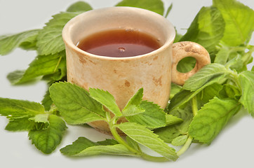 Image showing Cup of tea useful to health