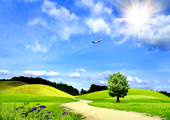 Image showing green grass and the blue sky