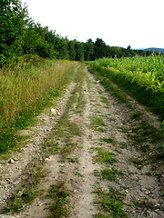 Image showing dirt road