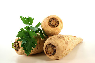 Image showing bright Parsley root
