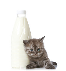 Image showing kitten and milk bottle