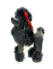 Image showing Toy dog