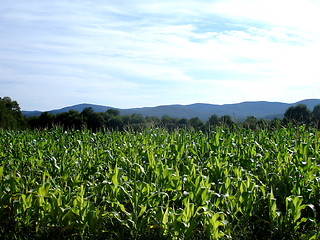 Image showing Vermont Mountains