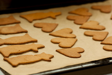 Image showing Ginger bread