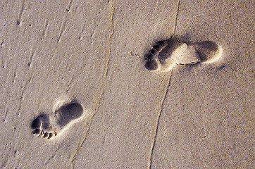 Image showing Bare human footprints in sea sand. Rest near sea.