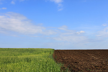 Image showing edge of field