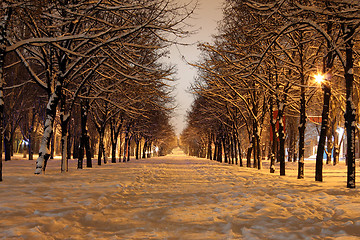 Image showing avenue at winter night