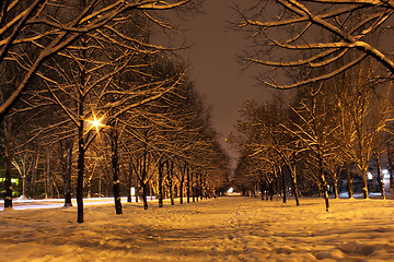 Image showing avenue at winter 
