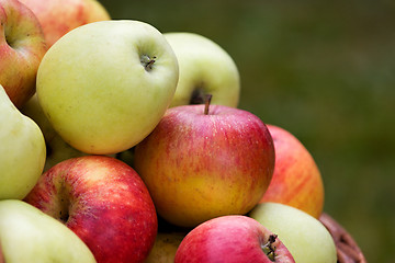 Image showing Apples