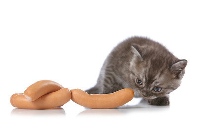 Image showing kitten and sausages