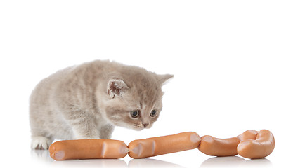 Image showing kitten and sausages