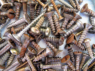 Image showing assortment of screws