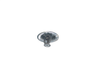 Image showing Fire Sprinkler 1