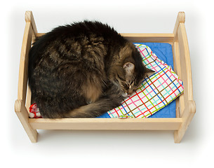 Image showing Toy cradle and a cat