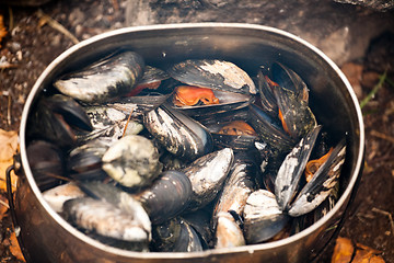 Image showing boiled mussels