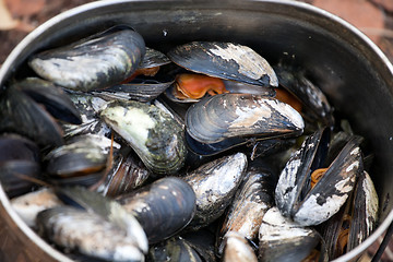 Image showing boiled mussels closeup