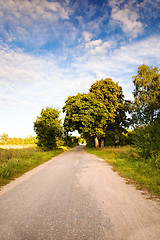 Image showing Road (summer)