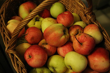 Image showing Apples