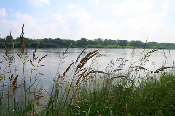 Image showing River bank