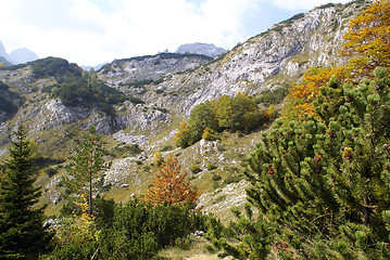 Image showing Autumn in mountain