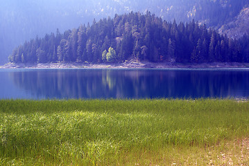 Image showing Grass, trees and lake