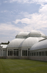 Image showing conservatory green house