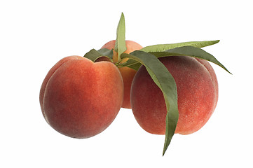 Image showing peach