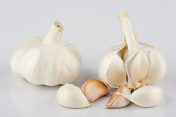 Image showing Garlic 