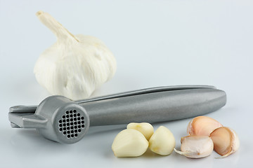 Image showing Fresh garlic and steel press 