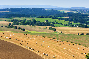 Image showing Summer field after harvest