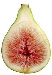 Image showing Fig