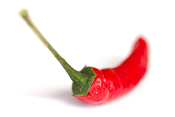 Image showing Red Chili Pepper